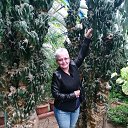 ���� ���, ����, 65 ��� - ��������� 18 ������� 2018 � ������ �������� 2018�