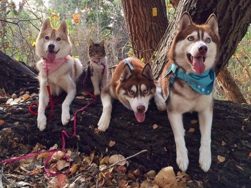 o, oo    ,    oo  oo oo - 2