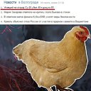 ���� ����, ���������, 40 ��� - ��������� 6 ������ 2019 � ������ ���� ����������