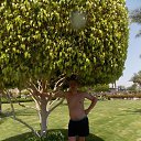 ���� ����, ����-���, 36 ��� - ��������� 7 ������ 2019 � ������ ���� ����������