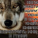 ���� Archi, ����������� - ��������� 30 ������� 2018 � ������ ���� ����������