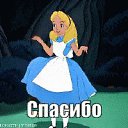 ���� �������, ������, 69 ��� - ��������� 21 ������� 2019