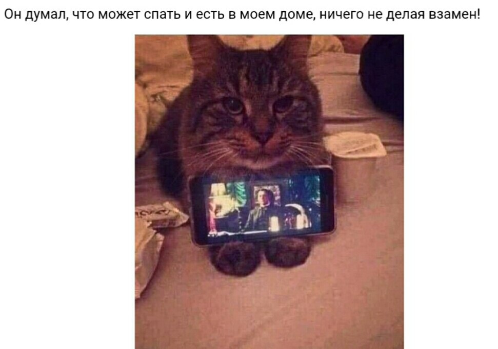   ... - 23  2019  13:05