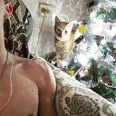 ���� ����, ���������, 24 ���� - ��������� 28 ������� 2019 � ������ ���� ����������