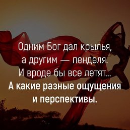���� ������, �����-���������, 40 ��� - ��������� 15 ������� 2018