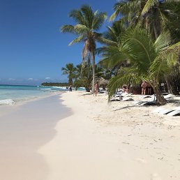 ����������, ���������, 41 ���