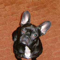 �, �������������-����������, 42 ����