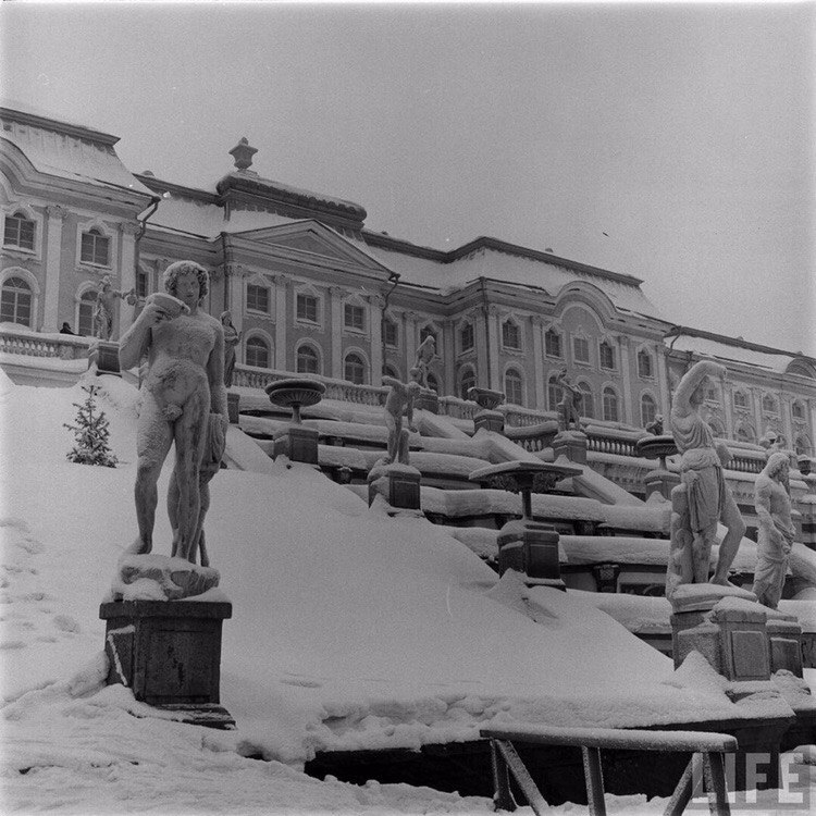   1955 .:  