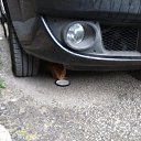 ���� ����, ����� - ��������� 8 ������� 2018