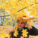 ���� ��������, ����� - ��������� 22 ������� 2018 � ������ ������ ��������