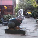 ,,08.11.18.8.45.    - 2018