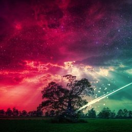 ���� Volk, ������, 22 ���� - ��������� 10 ������ 2019