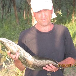 ������, ������, 58 ���