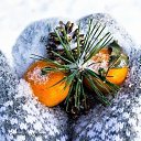 ���� ���, �������� - ��������� 11 ������� 2018 � ������ ���� ����������