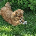   -good, , 43  -  14  2018    