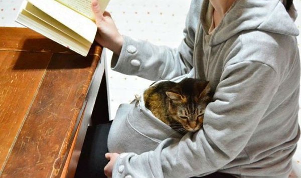 В кенгуруподобном худи вы можете не расставаться со своим котом.Японская компания Unihabitat, ... - 7