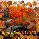 ���� �����, ������, 41 ��� - ��������� 31 ������� 2018 � ������ ������ ��������