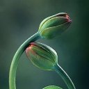 ���� Lilita, �������, 56 ��� - ��������� 13 ����� 2019 � ������ ���� ����������