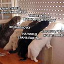 ���� �������, ��������, 44 ���� - ��������� 20 ������ 2018 � ������ ������ ��������