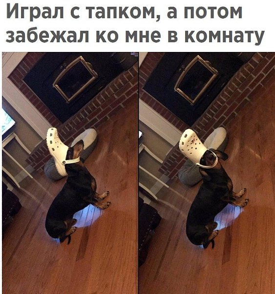  - 6  2018  16:36