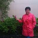 ���� ��������, �������� - ��������� 20 ������� 2018 � ������ ���� ����������