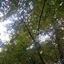 ���� �����, ������, 52 ���� - ��������� 6 ������� 2018 � ������ ���� ����������