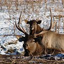  , -, 64  -  9  2019   - 