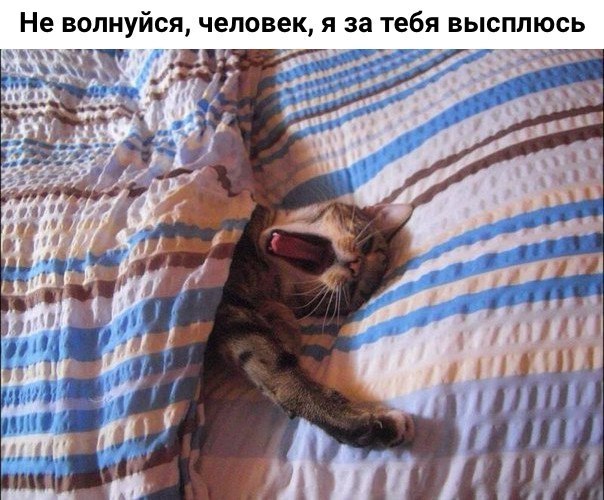   - 17  2019  16:50