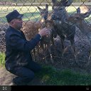  ,  , 52  -  14  2019    