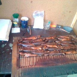 ���� Viktor, ������������, 52 ���� - ��������� 26 ����� 2019