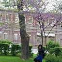 ���� �������, ������-��-���� - ��������� 9 ����� 2019 � ������ ���� ����Ȼ