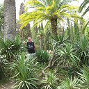 ���� ���������, ��������, 62 ���� - ��������� 26 ������ 2019