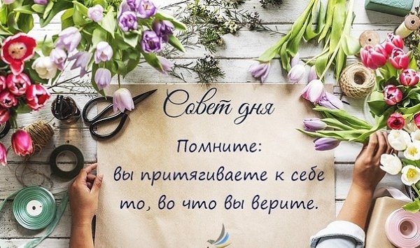    ... - 24  2018  14:52