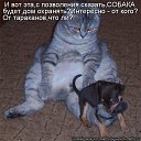 ���� ������, ��������, 40 ��� - ��������� 17 ���� 2018 � ������ ������ ��������