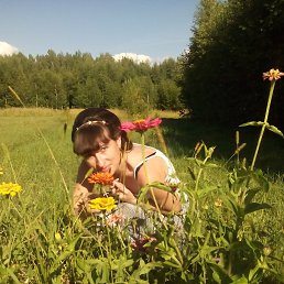 �����, ������ ��������, 49 ���