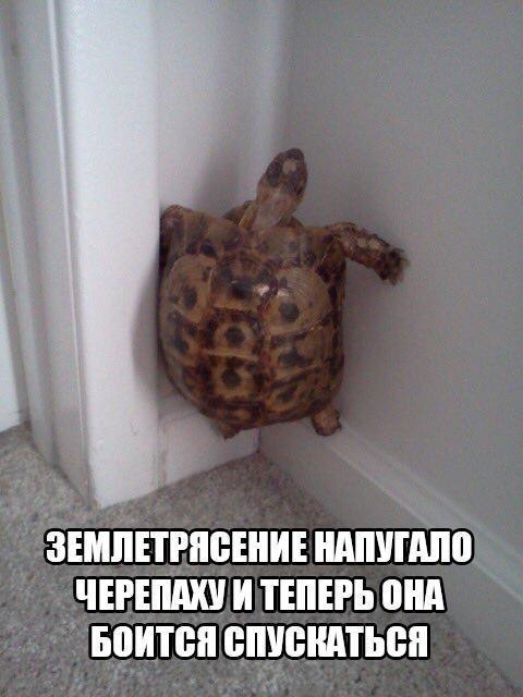  - 18  2019  03:41