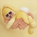 ���� ���������, ������, 61 ��� - ��������� 26 ������ 2018 � ������ ���� ����������