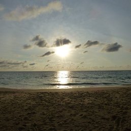 ������, ������, 44 ����