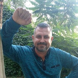 �����, ������, 43 ����