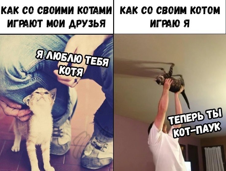 ☆ ☆ - 17  2018  17:05