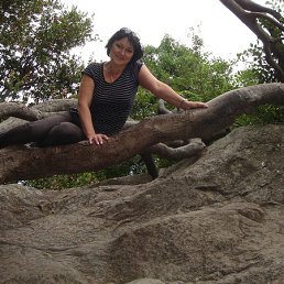 ��������, ��������, 56 ���