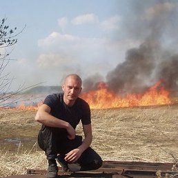 ****������, �����������, 42 ����