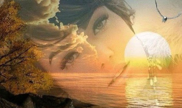 ....  , , .         ...