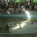 ���� �������, ���������, 53 ���� - ��������� 27 ������� 2018 � ������ ����������� �������.�
