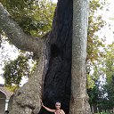 ���� �������, ������, 60 ��� - ��������� 28 ������� 2018 � ������ ���� ����������