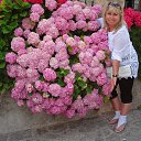 ���� ���������, ������, 59 ��� - ��������� 16 ������� 2018 � ������ ���� ����������