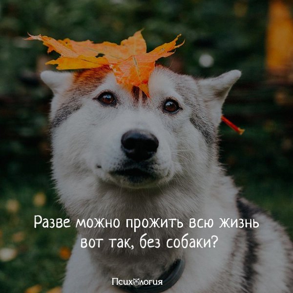  - 13  2018  16:28