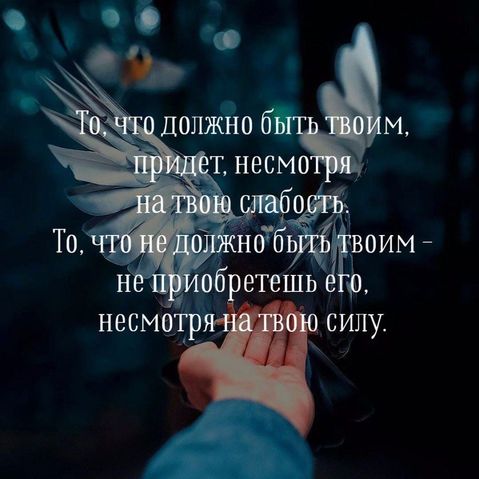   - 11  2019  23:54