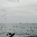 ���� �����, ����, 61 ��� - ��������� 22 ������� 2019 � ������ ���� ����������