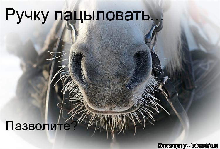  Ѩ  - 14  2019  14:07